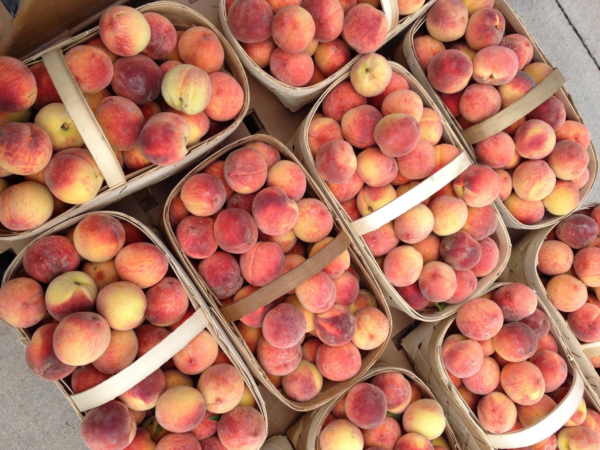 Pre-Order Half Bushel of South Carolina Peaches