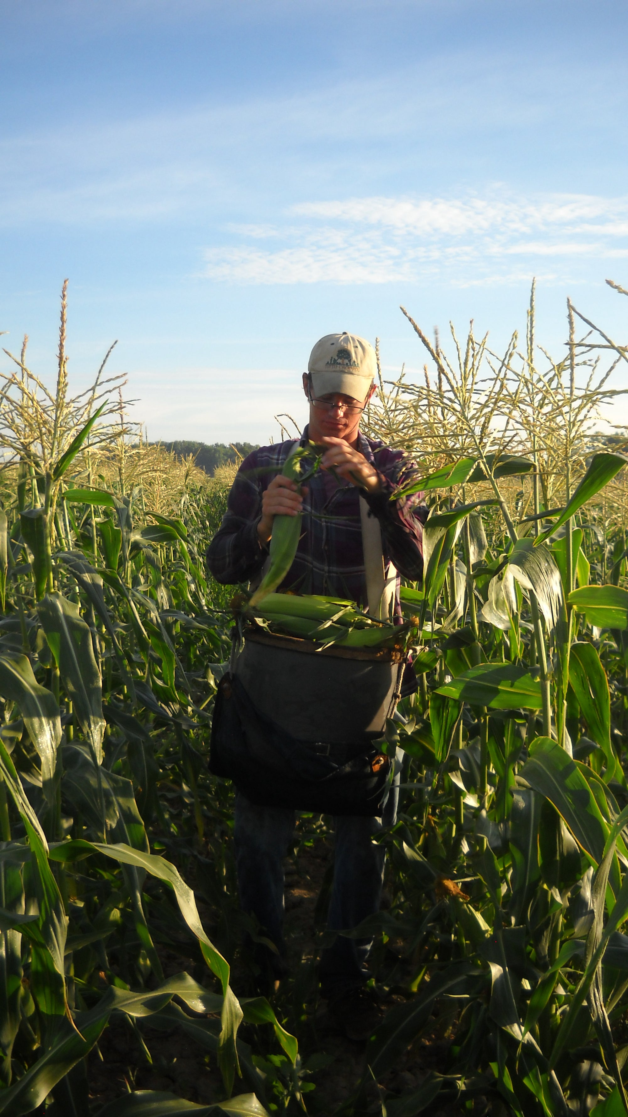 Pre-Order Bushel of BiColor Corn
