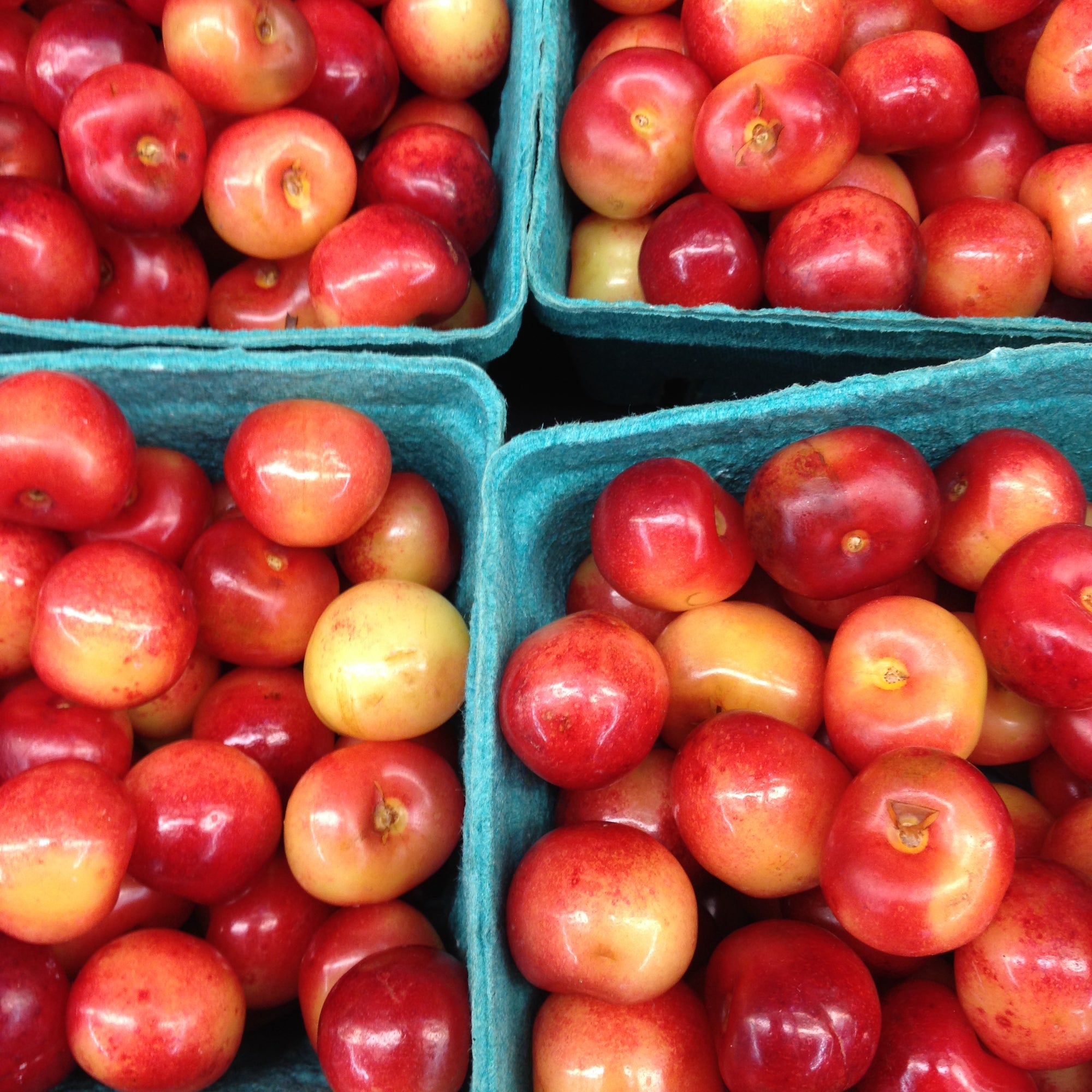 Pre-Order 2lb Tub of Rainier Cherries
