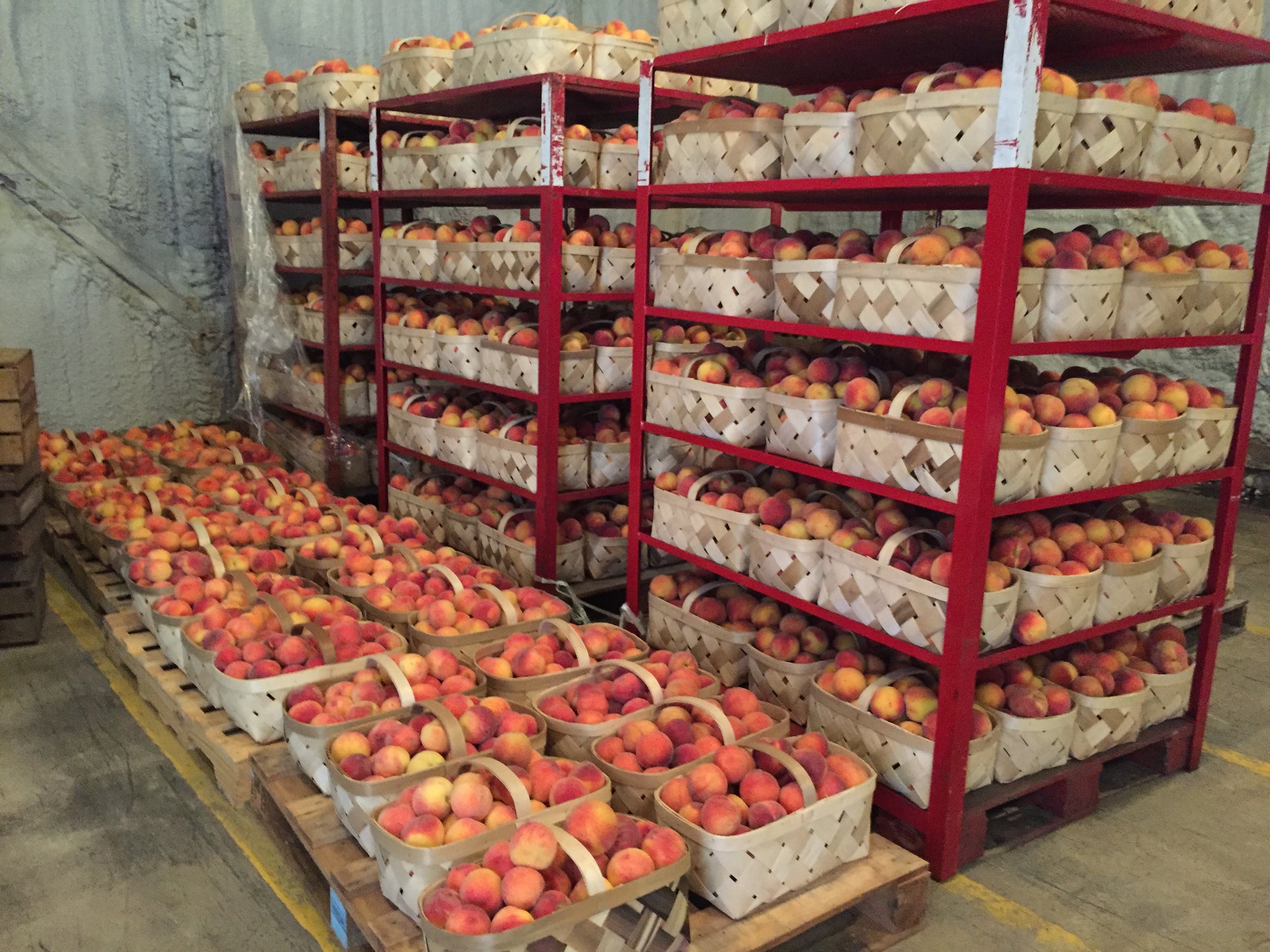 Pre-Order Peck of South Carolina Peaches