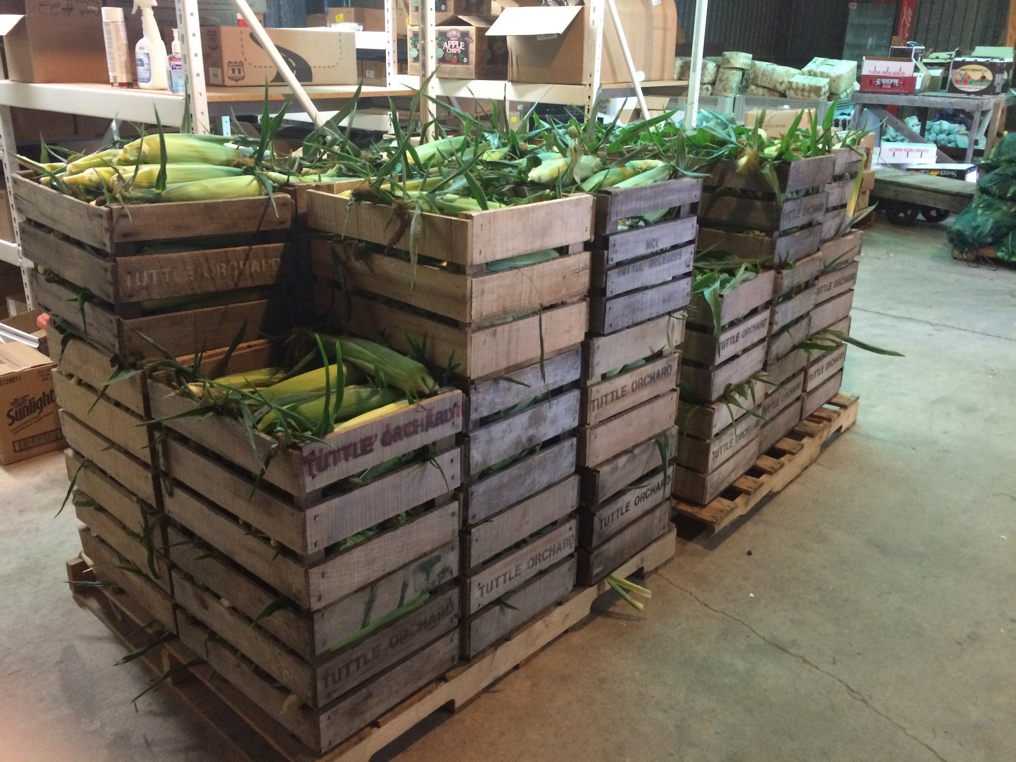 Pre-Order Bushel of White Corn