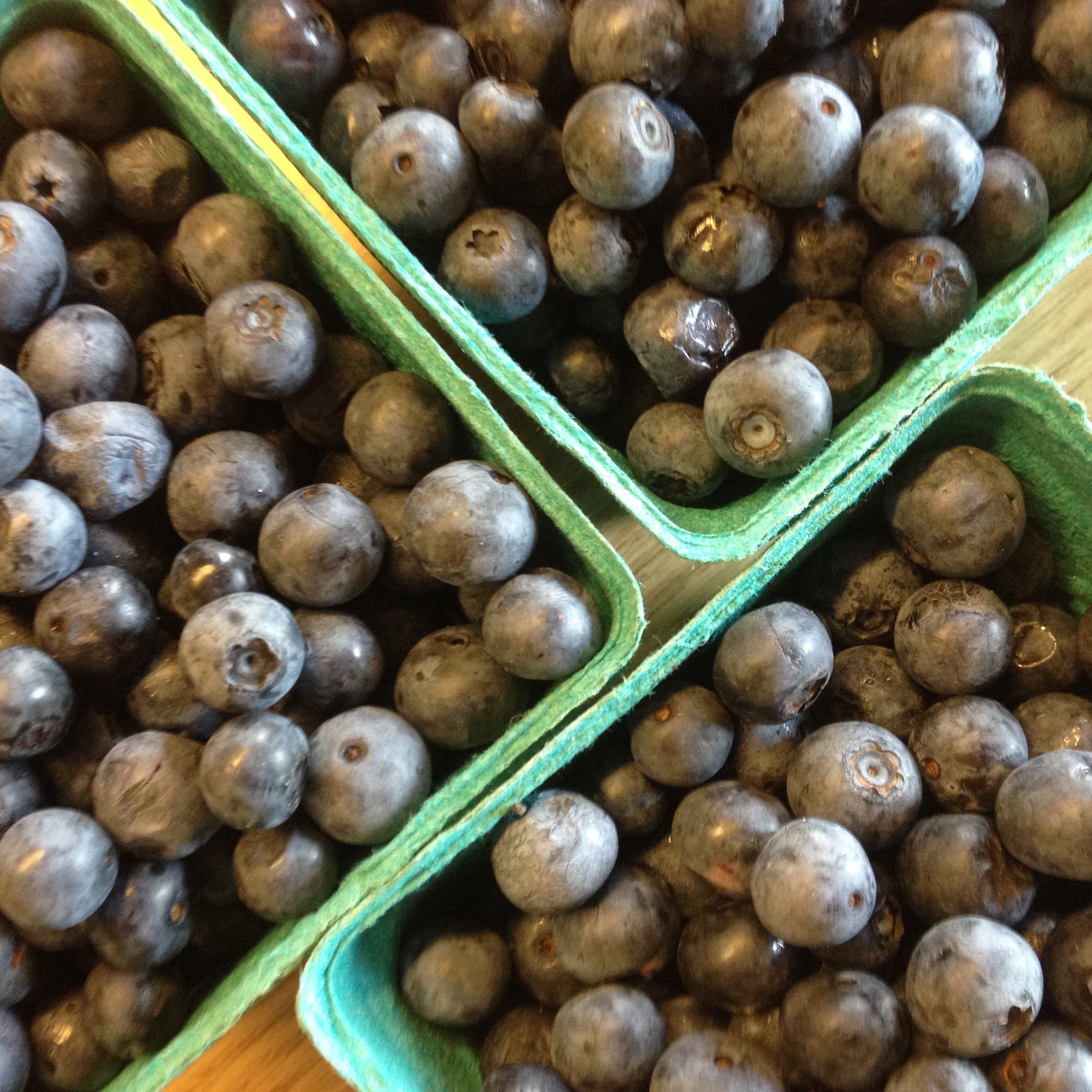 Pre-Order 10lb Box of Blueberries for Pickup