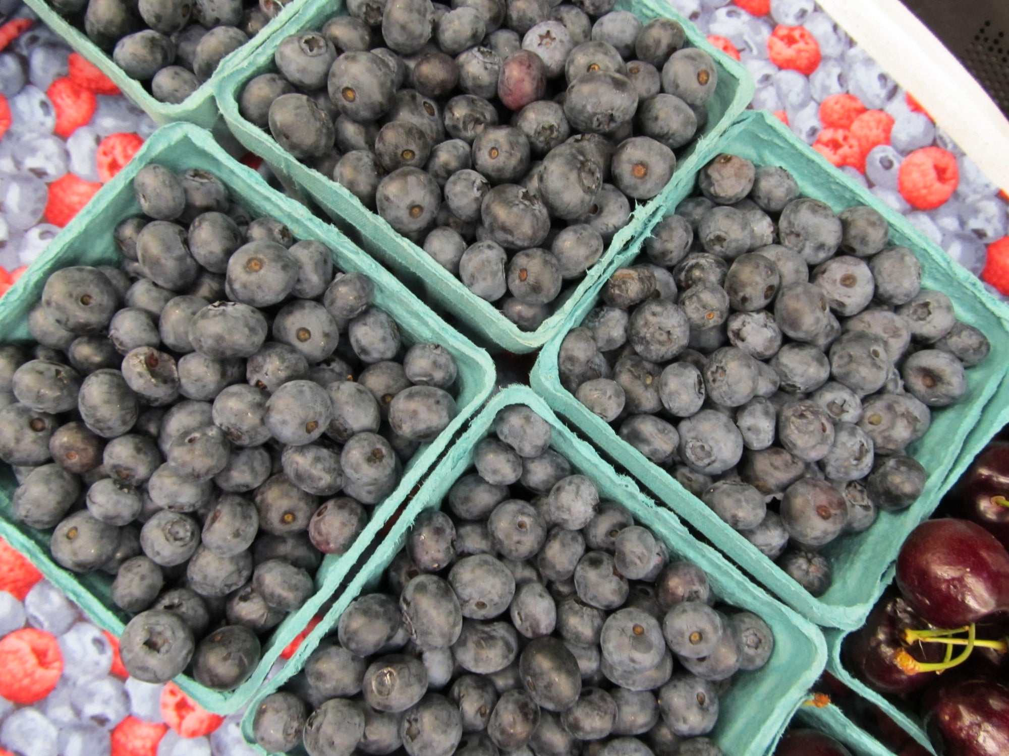 Pre-Order 10lb Box of Blueberries for Pickup