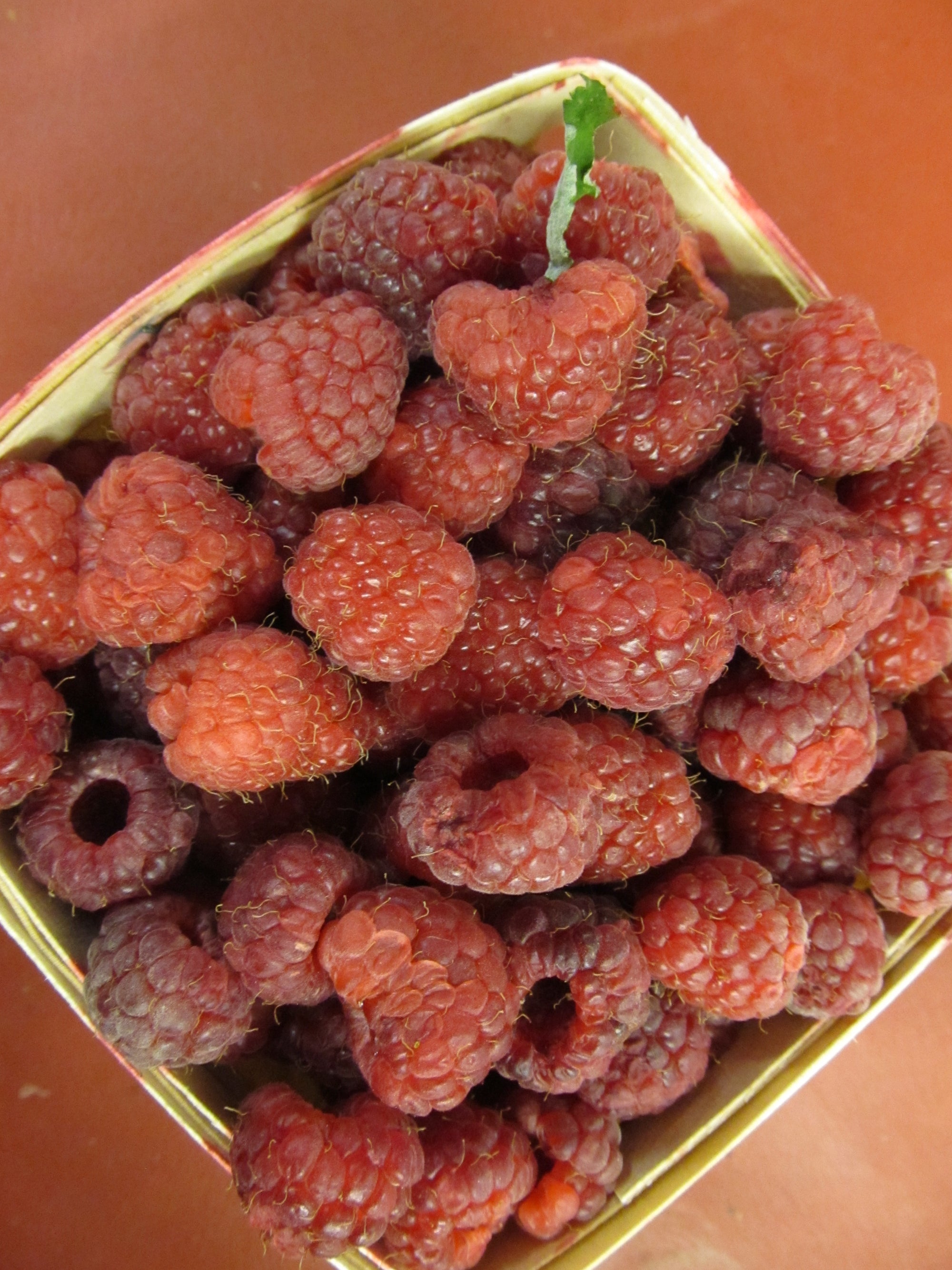 Pre-Order Red Raspberries