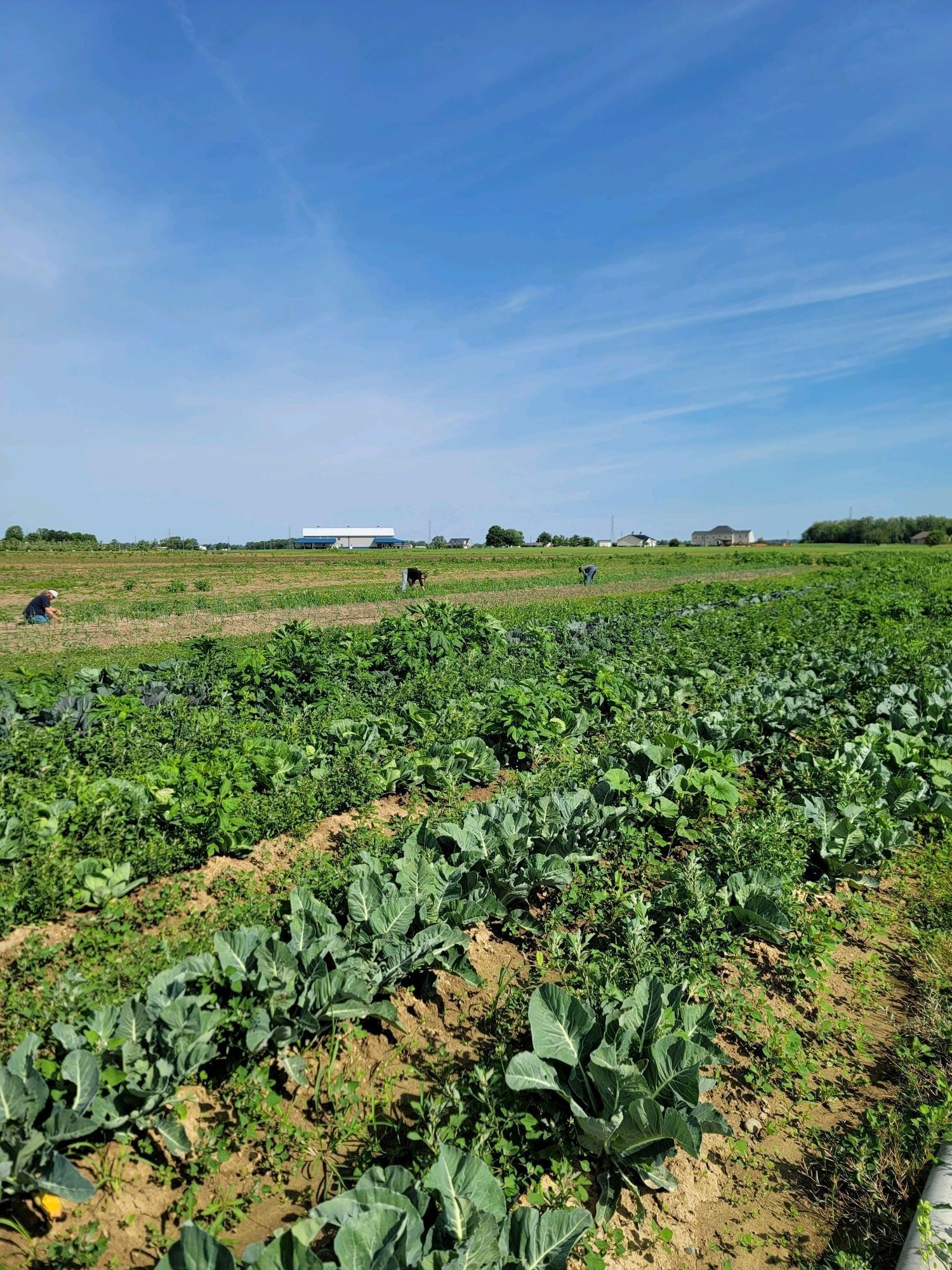 Produce Growing Areas Tour for Tote Participants Only