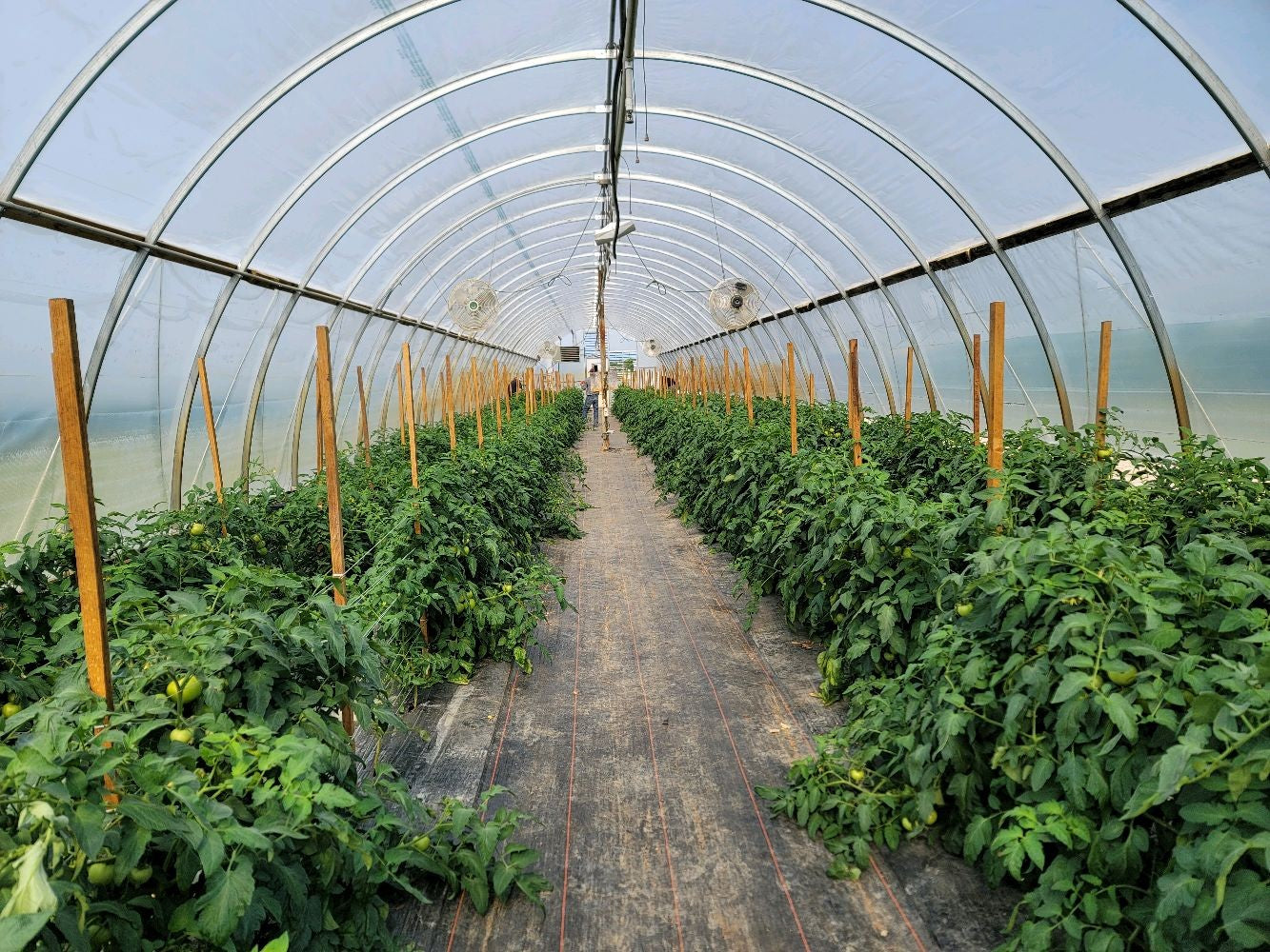 Produce Growing Areas Tour for Tote Participants Only