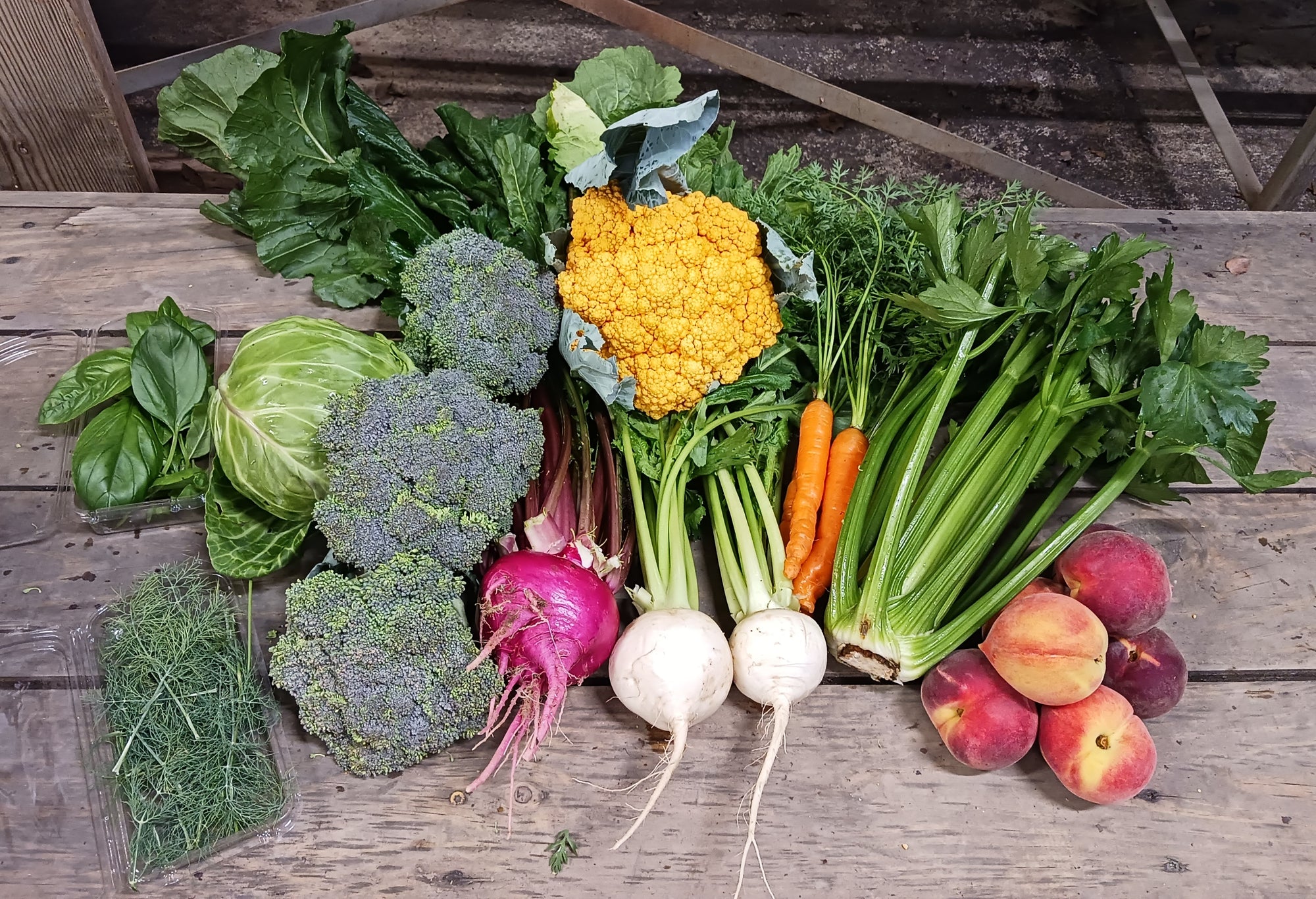 Large Produce Tote