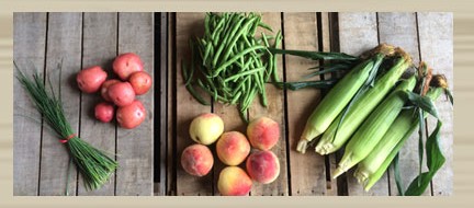 Small Produce Tote