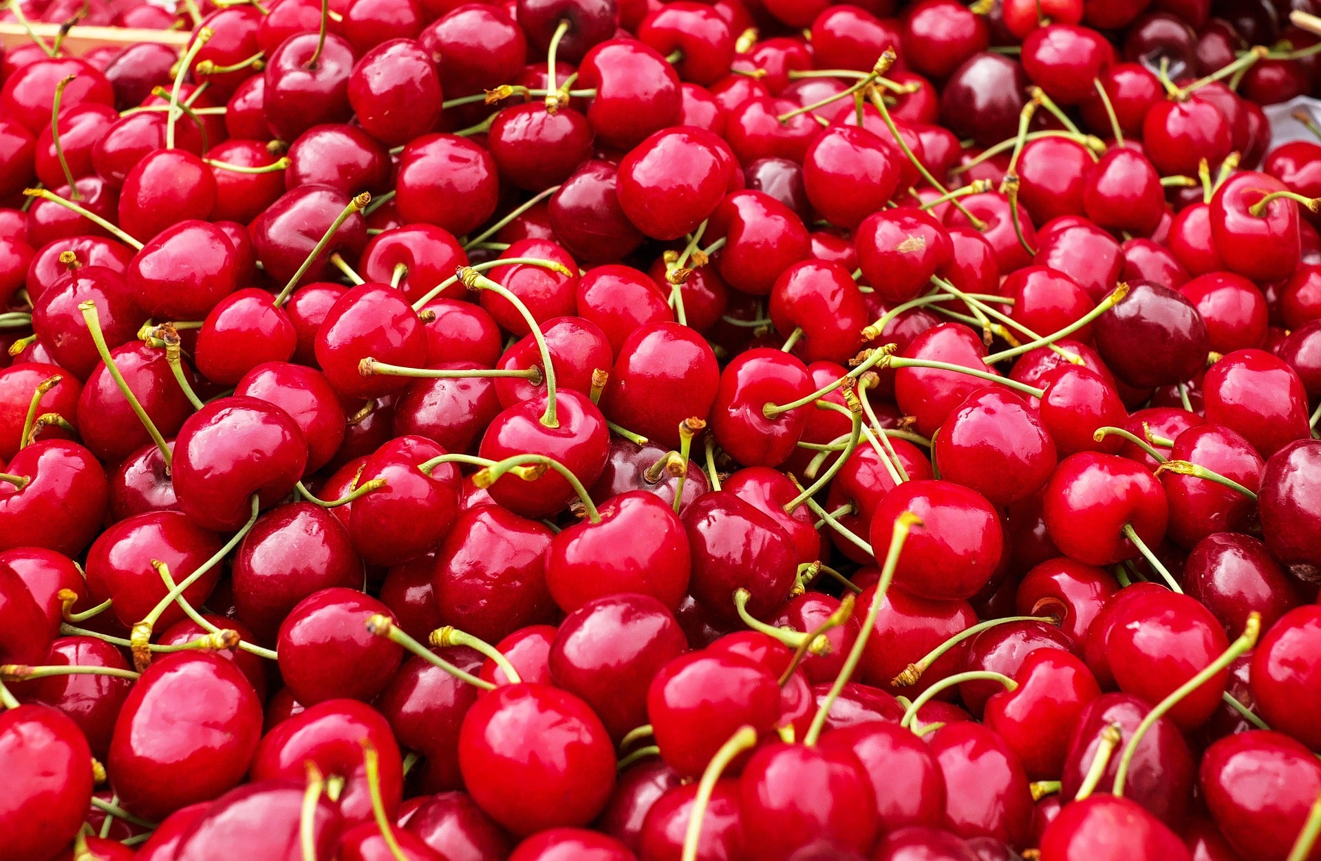 Pre-Order Cherries