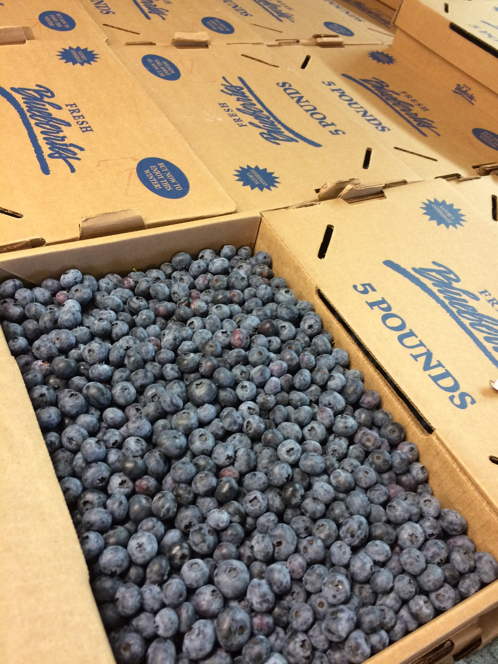 Pre-Order 5lb Box of Blueberries for Pickup – Tuttle Orchards Online Store