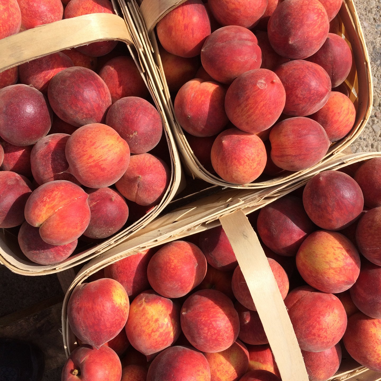 Pre-Order Peck of South Carolina Peaches