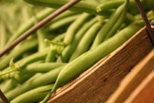 Load image into Gallery viewer, Pre-Order Bushel Green Beans
