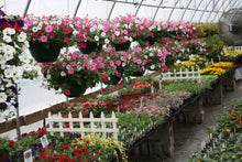 Load image into Gallery viewer, Homeschool Greenhouse Class - Bloom, Grow, Blossom!!!
