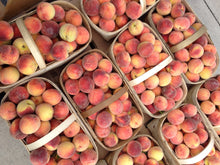 Load image into Gallery viewer, Pre-Order Peck of South Carolina Peaches
