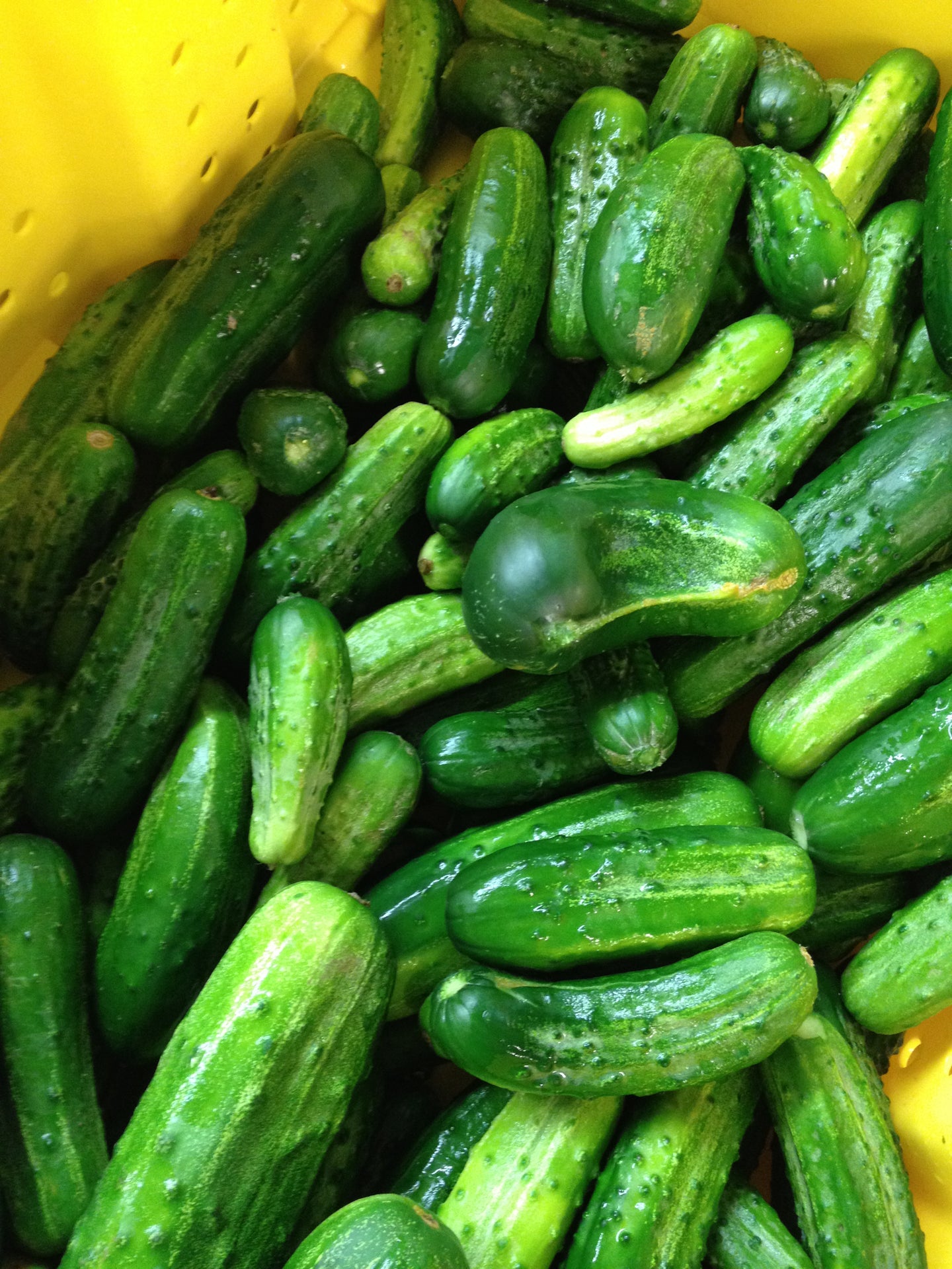 Pre-Order Peck Pickling Cucumbers (Small Size)