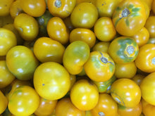 Load image into Gallery viewer, Pre-Order Half Bushel of YELLOW Canning Tomatoes
