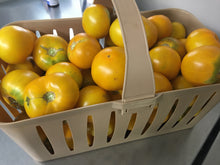 Load image into Gallery viewer, Pre-Order Half Bushel of YELLOW Canning Tomatoes
