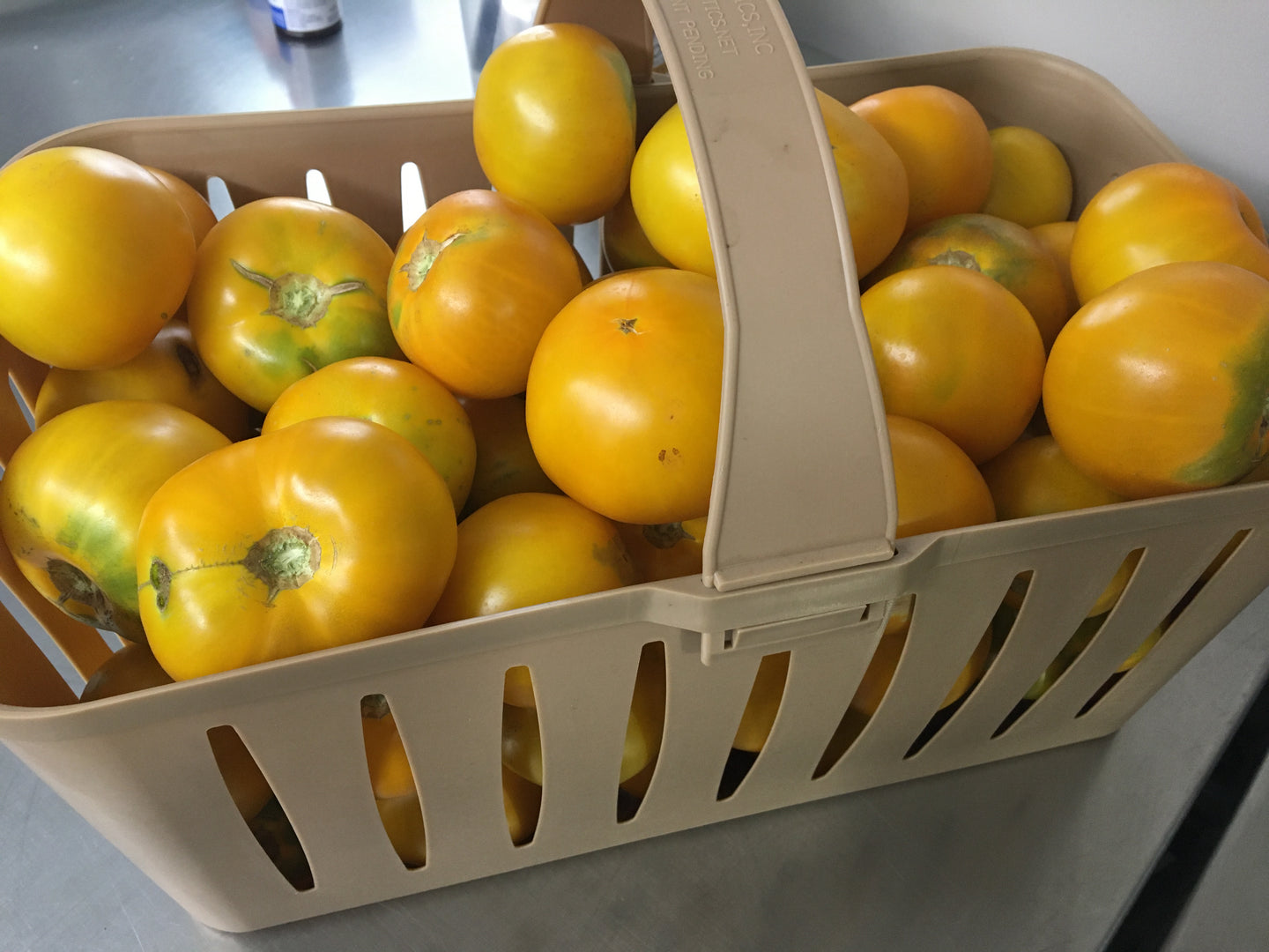 Pre-Order Half Bushel of YELLOW Canning Tomatoes