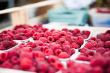 Load image into Gallery viewer, Pre-Order Red Raspberries
