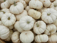 Non Profit Dozen Mini Pumpkins White